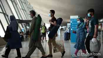 Republicans say steps in vetting process skipped, delayed for Afghan evacuees