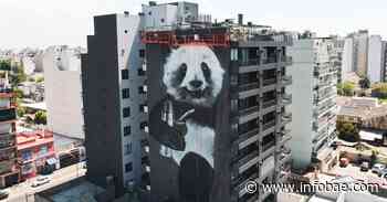 “Street art” en Buenos Aires: el auge de los gigantescos murales que embellecen los edificios - infobae