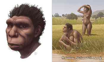 Meet Homo bodoensis: Newly-identified ancient human species lived in Africa 500,000 years ago