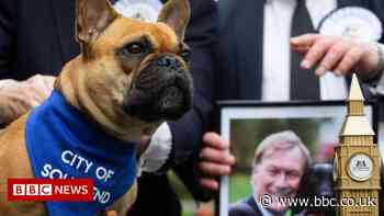 Sir David Amess' pet named Westminster Dog of the Year