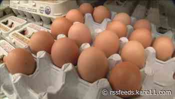 MN egg producer to donate more than a million eggs as settlement