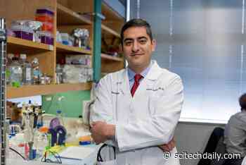 How Diet and Lifestyle Modifications May Lower Risk of Lethal Prostate Cancer