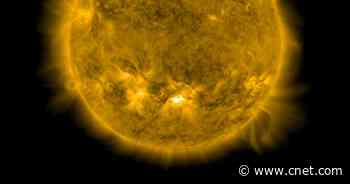 Watch the sun spit out a whopper X1 solar flare     - CNET
