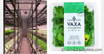 Iceland: Covering 75% of retail demand by tackling local trends - FreshPlaza.com