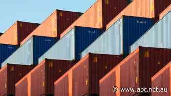 This 'brilliant invention' lets us cram 900 million cans of baked beans onto one ship