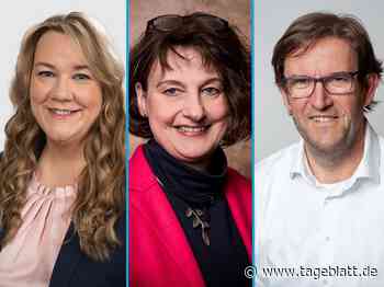 CDU-Landtagskandidat und Parteivorsitz: Gerhard Hoffmann tritt an - Stade - Tageblatt-online