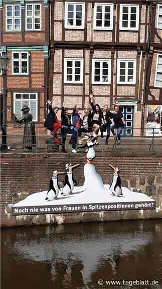 Stader Unternehmerinnen posieren demonstrativ für Tetsche-Buch - Stade - Tageblatt-online