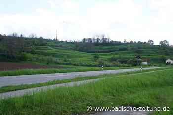 "Es hängt von dem Ergebnis des Bürgerentscheids ab" - Kenzingen - Badische Zeitung