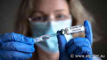 COVID live updates: All the coronavirus news from around Australia - ABC News