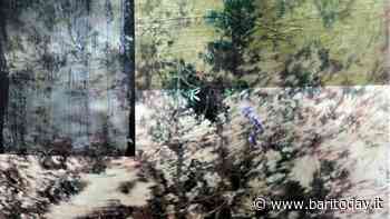 Through/beyond - prima nazionale dell'opera di videoart a cura di Qualibò - BariToday