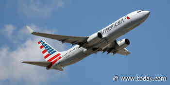 American flight diverted after passenger assaults attendant, airline says