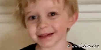 Oklahoma boy, 7, fatally mauled by family Corgi mix, authorities say