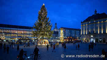 Weihnachtsbaum für Striezelmarkt kommt aus der Lausitz - Radio Dresden
