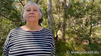 Residents feel blindsided by closed-door deal between developer, NSW planning body