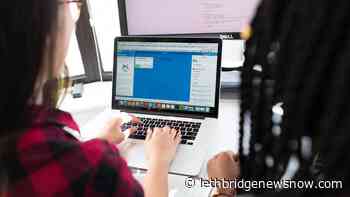 Provincial funds to help businesses launch online stores - Lethbridge News Now