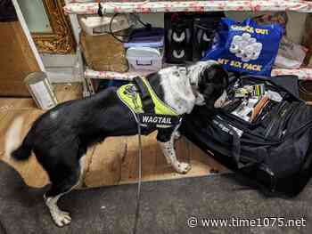 17000 illicit cigarettes recovered from shops in Barking and Dagenham - Time 107.5