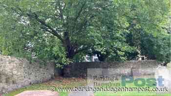 Stephen Port inquests: Dog walker found bodies in churchyard - Barking and Dagenham Post