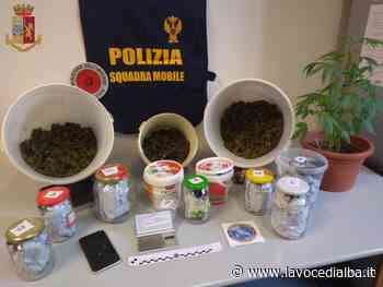 Traffico e spaccio di marijuana: arrestato dalla Polizia a Fossano - LaVoceDiAlba.it