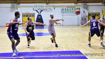 Vigor Basket Matelica verso Falconara, Bugionovo: "Giocare come contro Valdiceppo" - Vivere Camerino