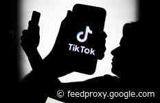 Would you be put off if you had to submit a TikTok video resume to get a job?