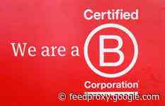 Join the B Hive: Why agencies are seeking B Corp certification