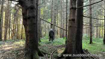 Auf den Spuren der Römer - Süddeutsche Zeitung