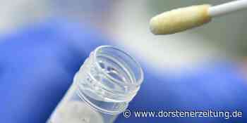 DZ+ Corona: Inzidenz bei Über-80-Jährigen steigt im Kreis Borken rasant - Dorstener Zeitung