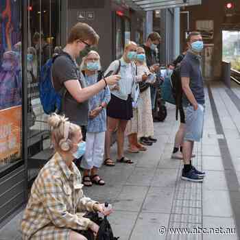 Denmark considers re-imposing coronavirus restrictions as cases surge - ABC News