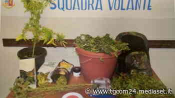 Cuneo, rimane chiuso fuori e chiama i vigili del fuoco: dentro casa gli trovano due chili di marijuana - TGCOM