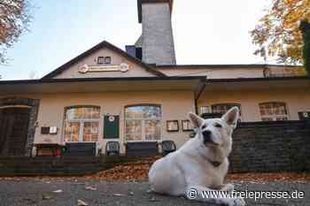 Wird ein zweiter Turm für den Adelsberg gebaut? - Freie Presse