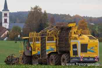 Ein Tiger frisst sich durch Felder - Freie Presse