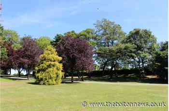 Multiple trees at Queens Park to be removed as they pose risk to public