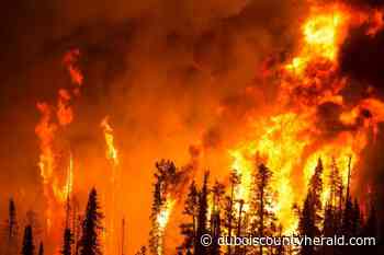 Take Precautions to Avoid Causing Forest Fires During Deer Season - The Herald