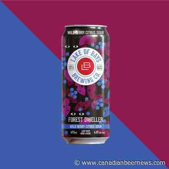 Lake of Bays Brewing Releases Forest Dweller Wild Berry Citrus Sour - Canadian Beer News