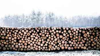 Green campaigners condemn pushback against EU forest strategy - EURACTIV