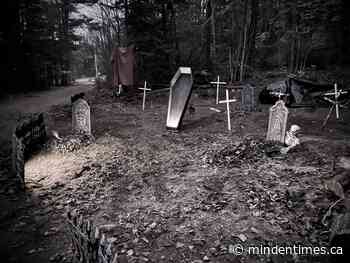 Frightening forest welcomes those who aren't faint-hearted » Minden Times - Minden Times