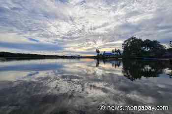 Indigenous Papuans won their forest back from a palm oil firm, but still lack land title - Mongabay.com