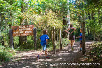 LETTER-Removing trees from a forest to expand parking for visitors to the forest is ironic - Comox Valley Record