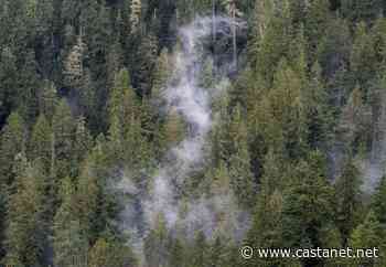 B.C. Forest Practices Board chair says proposed changes to forestry policy 'a start' - BC News - Castanet.net