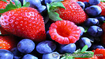 Audit finds fruit contamination may go undetected in Ukraine - Food Safety News