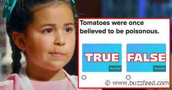 True/False Food Quiz - BuzzFeed