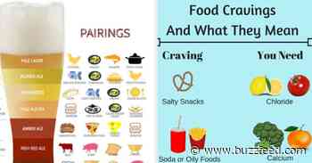 19 Cool And Helpful Food Charts - BuzzFeed