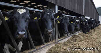 UK trade department blocks plan to ban food made to low standards - POLITICO.eu
