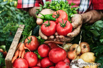 Five Food Supply Chain Predictions for 2022 - Nasdaq
