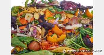 UK feed from food waste firm wins funding - hortidaily.com