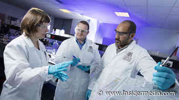 Job-creating food cluster set to launch | Midlands Property News - Insider Media