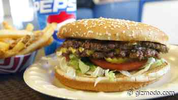 All the Fast Food You Love Contains Hormone-Disrupting Chemicals, Study Finds - Gizmodo