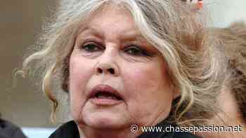 Brigitte Bardot relaxée par le tribunal d'Arras qui juge la plainte de W. Schraen trop tardive - Chasse Passion