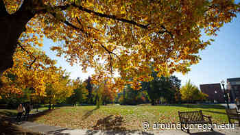 Academic freedom is the focus of a new provost office website - AroundtheO