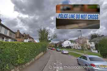 Marion Crescent Orpington: Gunshots heard and bullets found